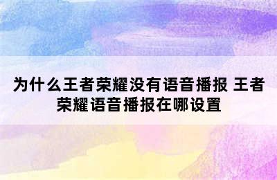 为什么王者荣耀没有语音播报 王者荣耀语音播报在哪设置